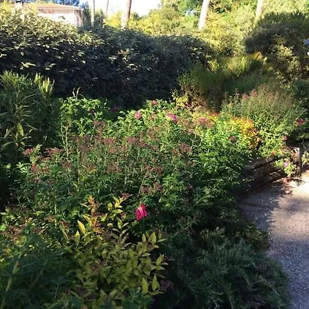 Villa Modern High Standing Sur 3' From Pyla-sur-Mer