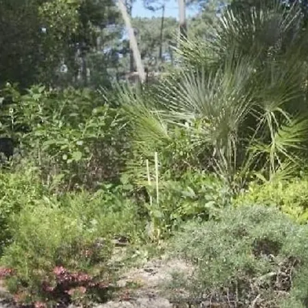 Modern High Standing Sur 3' From Villa