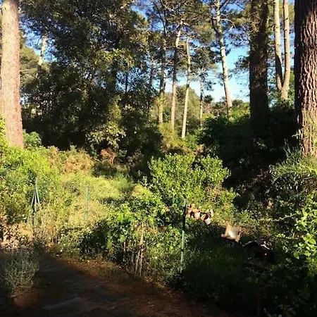 Villa Modern High Standing Sur 3' From