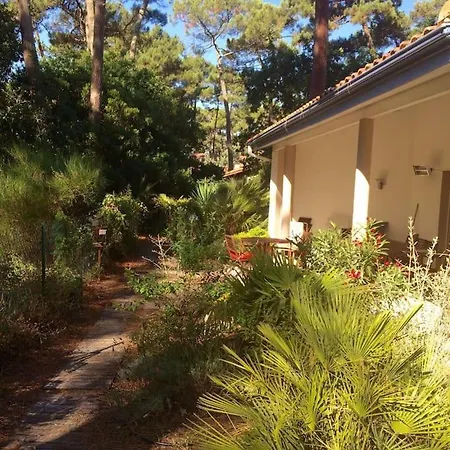 Modern High Standing Sur 3' From Villa *