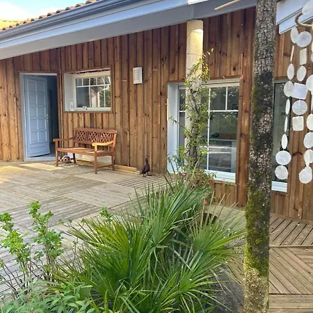 Villa Modern High Standing Sur 3' From Pyla-sur-Mer