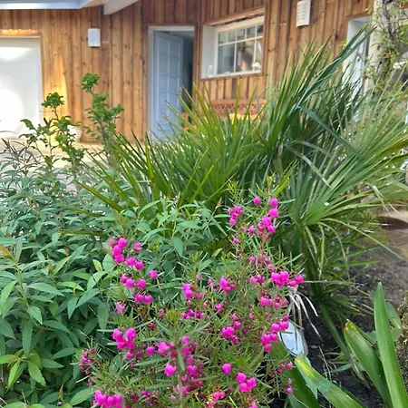 Modern High Standing Sur 3' From Pyla-sur-Mer