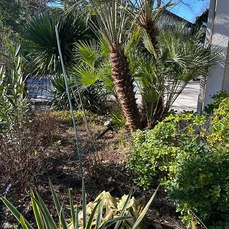 Modern High Standing Sur 3' From Villa Pyla-sur-Mer