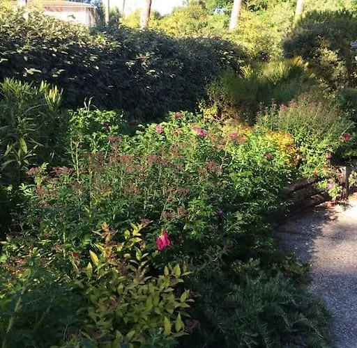 Villa Modern High Standing Sur 3' From Pyla-sur-Mer