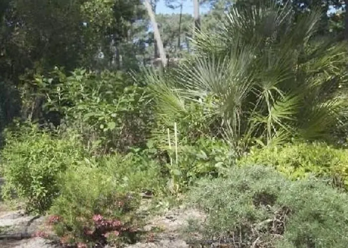 Modern High Standing Sur 3' From Villa