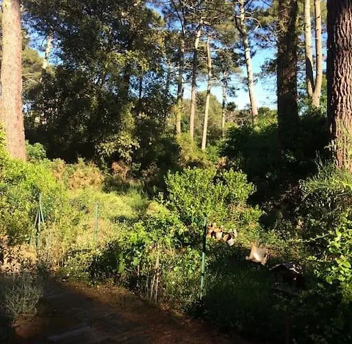 Villa Modern High Standing Sur 3' From