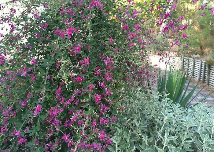 Villa Modern High Standing Sur 3' From Pyla-sur-Mer