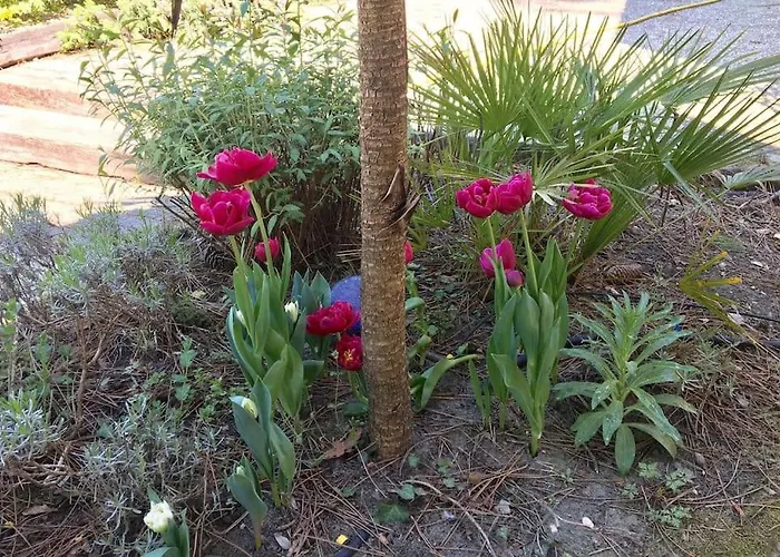 Villa Modern High Standing Sur 3' From *