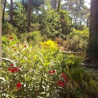 Modern High Standing Sur 3' From Pyla-sur-Mer