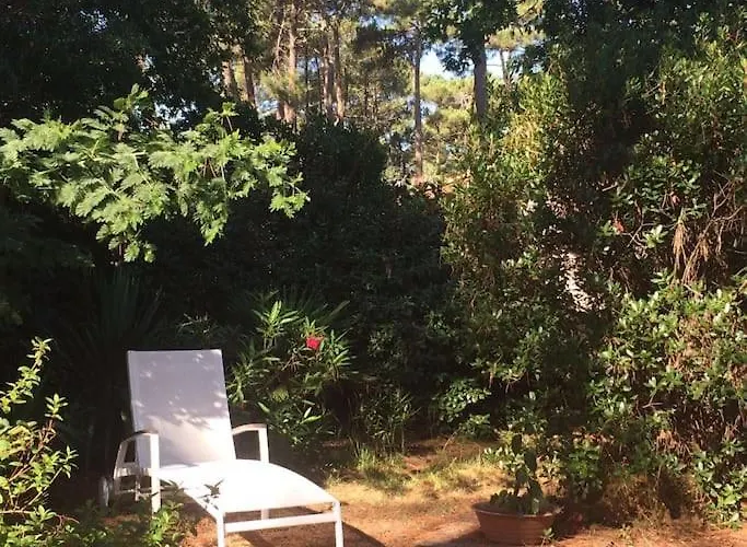 Modern High Standing Sur 3' From *