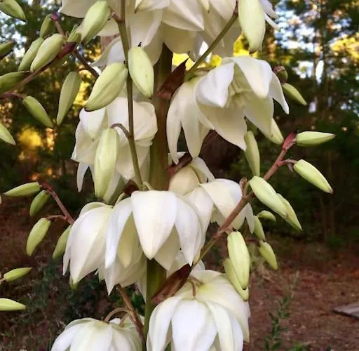 Modern High Standing Sur 3' From *