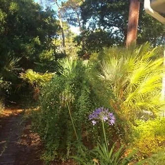 Villa Modern High Standing Sur 3' From Pyla-sur-Mer