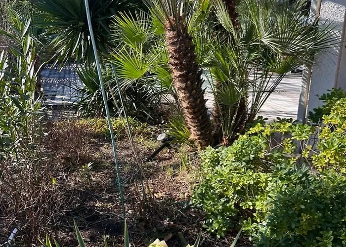 Modern High Standing Sur 3' From Villa Pyla-sur-Mer